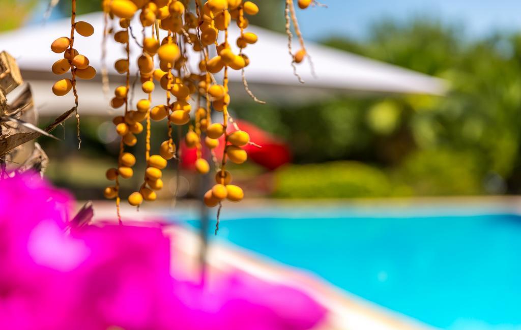 Marmaris Holiday Villas Exteriér fotografie