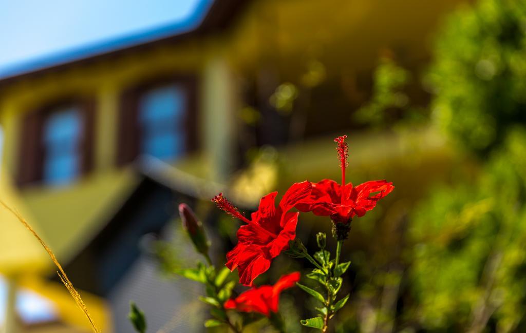 Marmaris Holiday Villas Exteriér fotografie